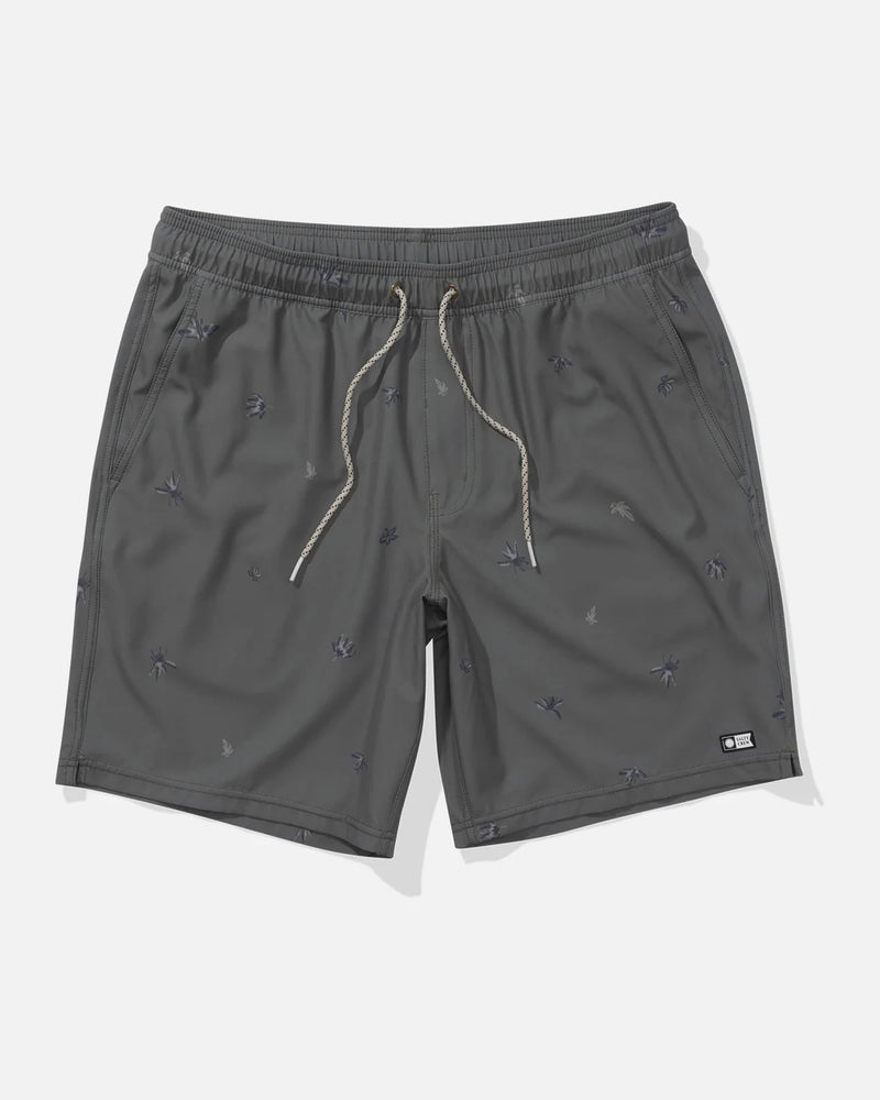 Small Kine Volley Short