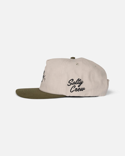 Coastal Snapback