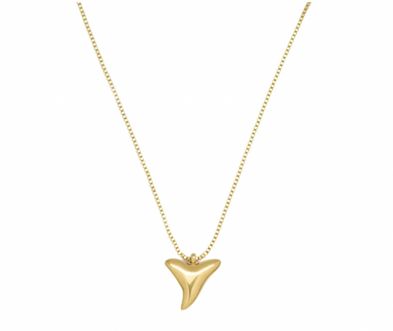 Shark Tooth Necklace