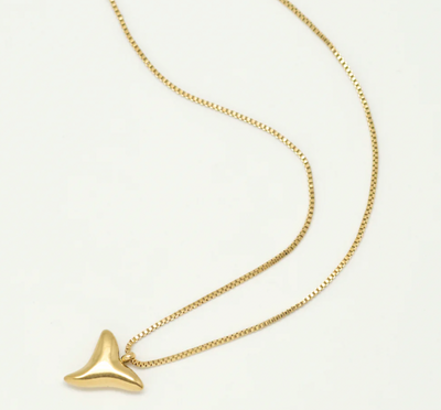 Shark Tooth Necklace