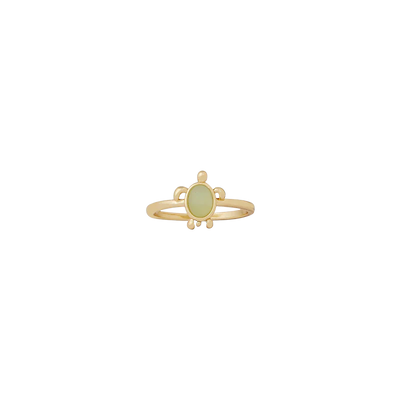 Tortuga Ring